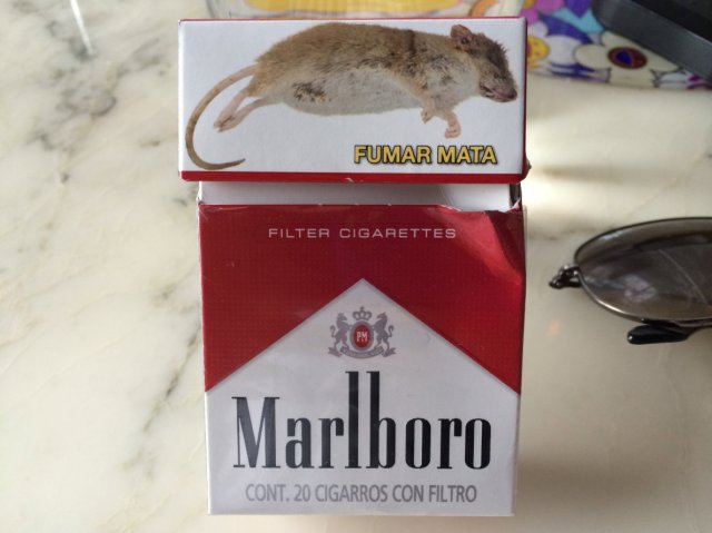 get cigarette smell out of car Expert Tips on How to Get Rid of Cigarette Smell In a Car